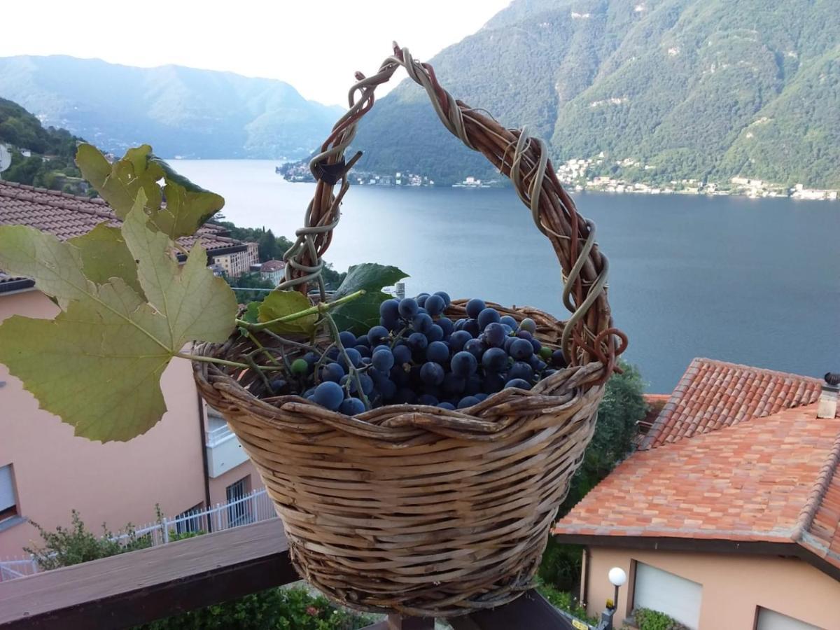 Romantic Home - Lake Como Нессо Экстерьер фото