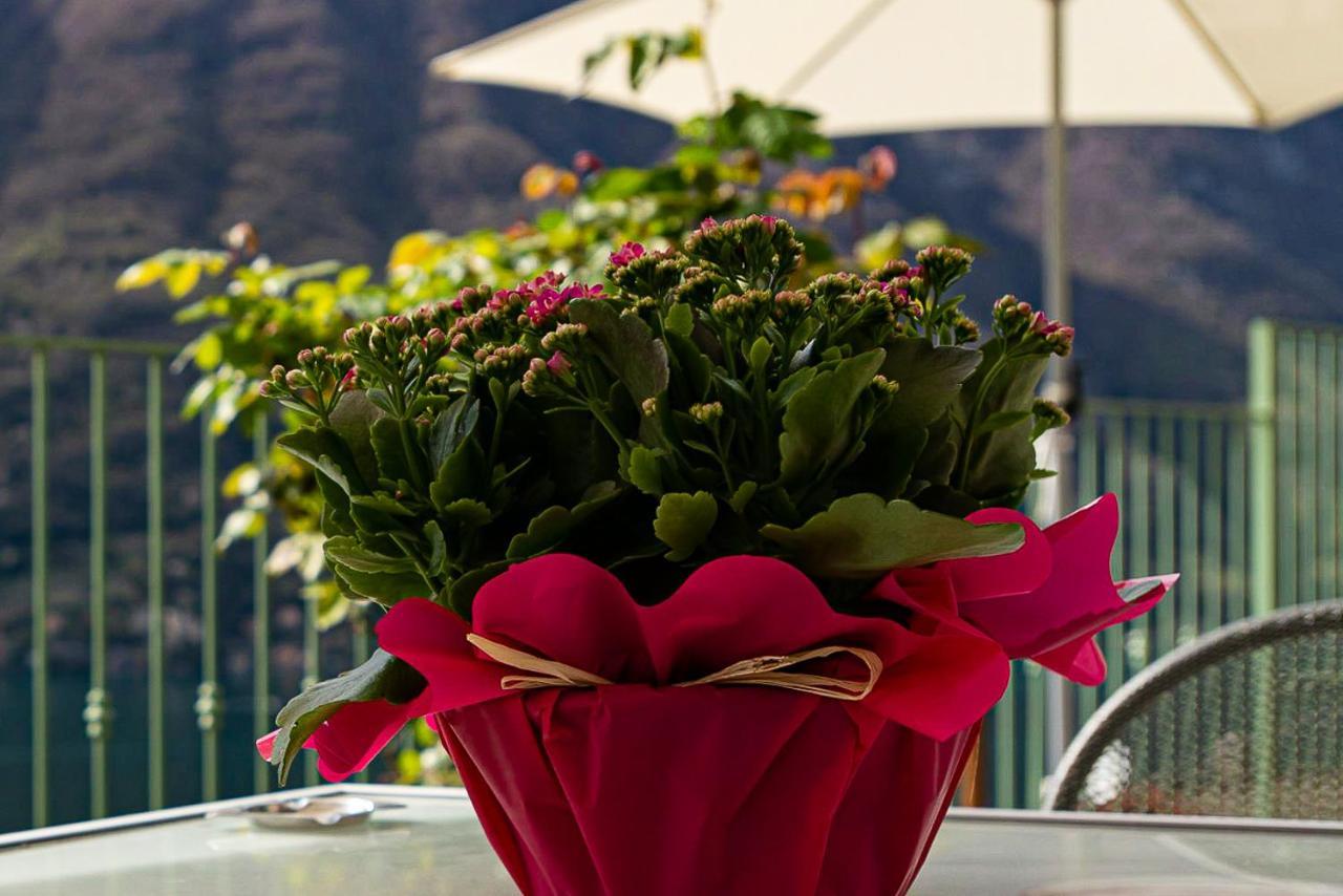 Romantic Home - Lake Como Нессо Экстерьер фото
